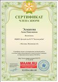 Сертификат члена жюри 