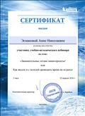 Сертификат участника учебно - методического вебинара по теме : "Занимательные летние мини-проекты"